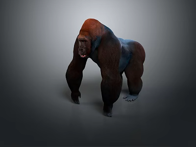 Realistic Gorilla 3D Model With Brown Black Fur Standing Pose Gray Background 3d model