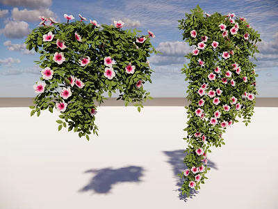 Hanging Basket Plants With Green Leaves And Pink Flowers Under Blue Sky 3d model