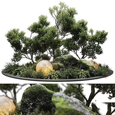 Garden Landscape Design with Lush Trees Mossy Rocks and Small Green Plants 3d model