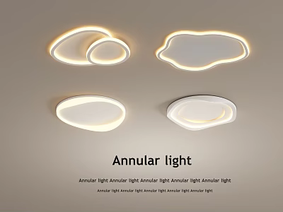 Annular Ceiling Light Simple Elegant Modern Stylish Interior Lighting Fixture Design 3d model