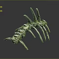 Detailed Limb Organ Structure With Metallic Spikes And Green Patina Design
