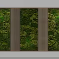 Decorative Indoor Living Plant Wall Design With Vertical Garden Panels And Natural Greenery