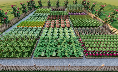 vegetable garden vegetable fruit and vegetable watermelon pumpkin vegetable radish 3d model