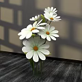 Floral Display With White Daisies In Vase On Dark Wooden Tabletop With Light Shadow Effects