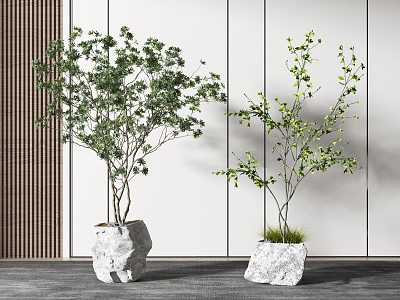 modern potted plant model