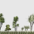 multicolored thousand-year-old wood colorful iron lily bamboo modeling shrub green plant 3d model