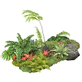 Lush Natural Garden Display With Green Ferns Red Foliage And Rock