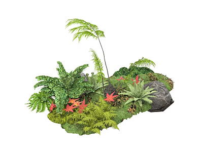 Lush Natural Garden Display With Green Ferns Red Foliage And Rock 3d model