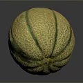 Healthy Fresh Ripe Cantaloupe Melon With Yellow Green Striped Textured Skin