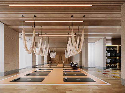 Indoor Fitness Studio With Yoga Mats Aerial Hammocks And Exercise Ball 3d model