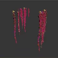 Hanging Plants With Green Leaves And Purple Red Small Flowers On Slender Stems White Background