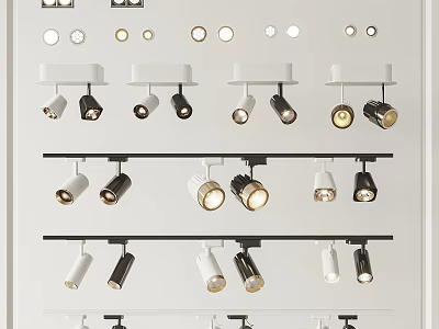 Diverse Modern Downlights And Spotlights In Black White Styles For Indoor Lighting 3d model