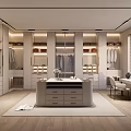 Whole house custom cloakroom lighting 3d model