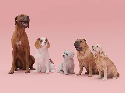 Friendly Five Different Dog Breeds Sitting Together On Pink Background 3d model