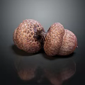 Close Up Of Two Brown Textured Acorns On Dark Surface With Reflection 3d model