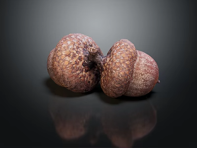 Close Up Of Two Brown Textured Acorns On Dark Surface With Reflection 3d model