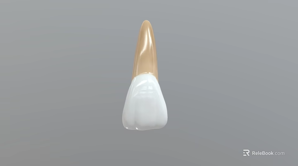 Dental Crown Restoration Piece With White Ceramic Top And Gold Base Structure 3d model 