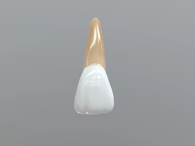 Dental Crown Restoration Piece With White Ceramic Top And Gold Base Structure 3d model