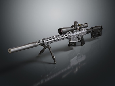 Modern Blocker Rifle model