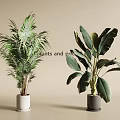 Stylish Potted Tropical Plants in White and Gray Pots on Beige Background
