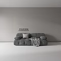 POLIFORM Gray Two Seater Sofa With Pillow And Black White Checkered Blanket