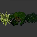 Various Indoor Houseplants With Green Leaves In Decorative Pots And Stand