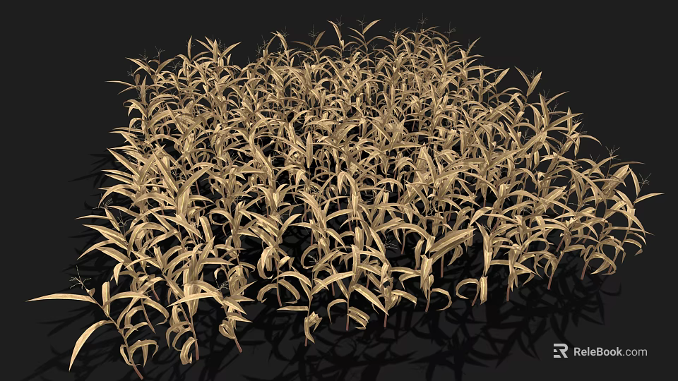 Golden Densely Growing Crops With Slender Leaves In Healthy Full Growth 3d model 
