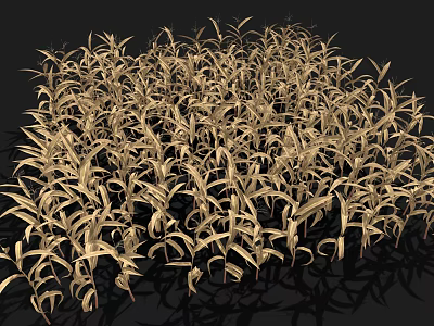 Golden Densely Growing Crops With Slender Leaves In Healthy Full Growth 3d model