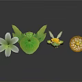 Plant Themed Cartoon Characters With Green Hats White Flower And Dandelion Sphere