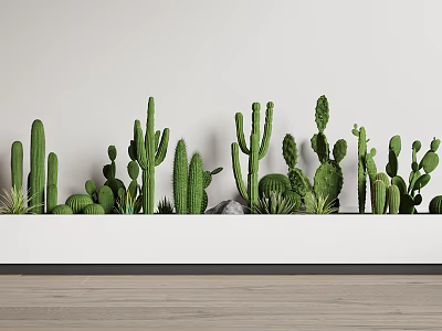 Various Green Cactus And Succulent Plant Combination Arranged In White Indoor Planter 3d model