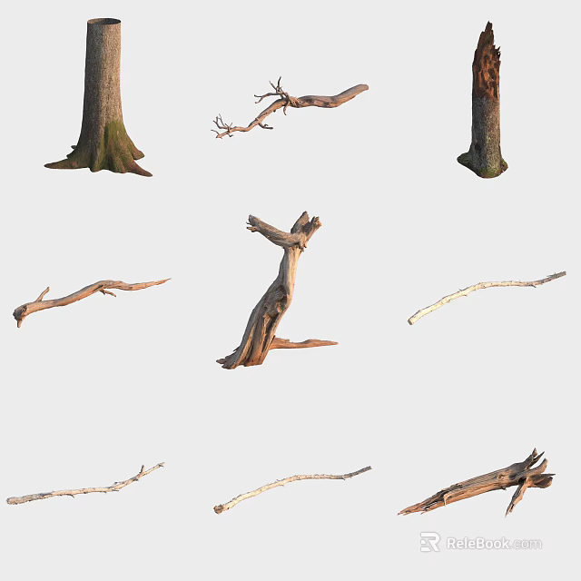 Various Dry Tree Branches And Trunks Collection On White Background 3d model