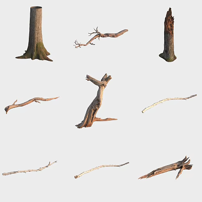 Various Dry Tree Branches And Trunks Collection On White Background 3d model