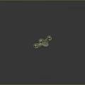 Tall Green Cactus Plant With Thorny Stems On Gray Background
