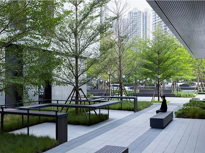 Urban Garden Landscape With Trees Benches And Modern Buildings In Background 3d model