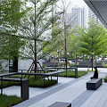 Urban Garden Landscape With Trees Benches And Modern Buildings In Background
