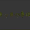 Different Types of Trees with Varied Foliage on Gray Background with Reflections