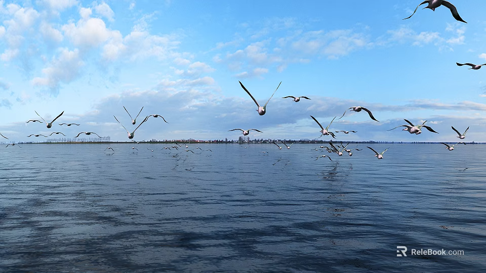 Seagulls Flying Over Rippling Water Under Blue Sky With White Clouds And Distant Land 3d model 