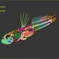 Golden Fish Skeleton Structure With Skull Spines And Dark Background Reflection
