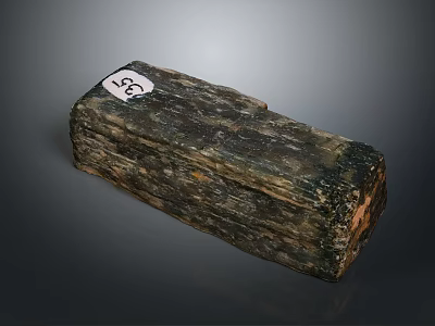 Close Up View of Stone Wood Block with Numbered Tag and Natural Texture 3d model