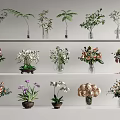 Assorted Fresh Flowers In Glass And Ceramic Vases On Shelf
