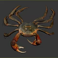 Vibrant Crab With Red Claws Brown Body And Yellow Eyes On Dark Background
