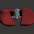 3D Anatomical Organ Model With Red Tissue And Hair Like Striped Appendages