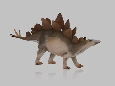 Stegosaurus Reptile Model With Bony Plates On Back And Spiked Tail 3d model
