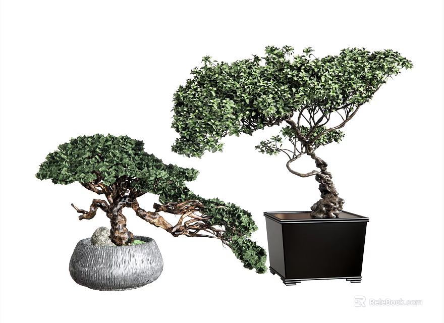 Artistic Green Bonsai Trees with Shaped Trunks in Grey Round and Black Square Planters 3d model 