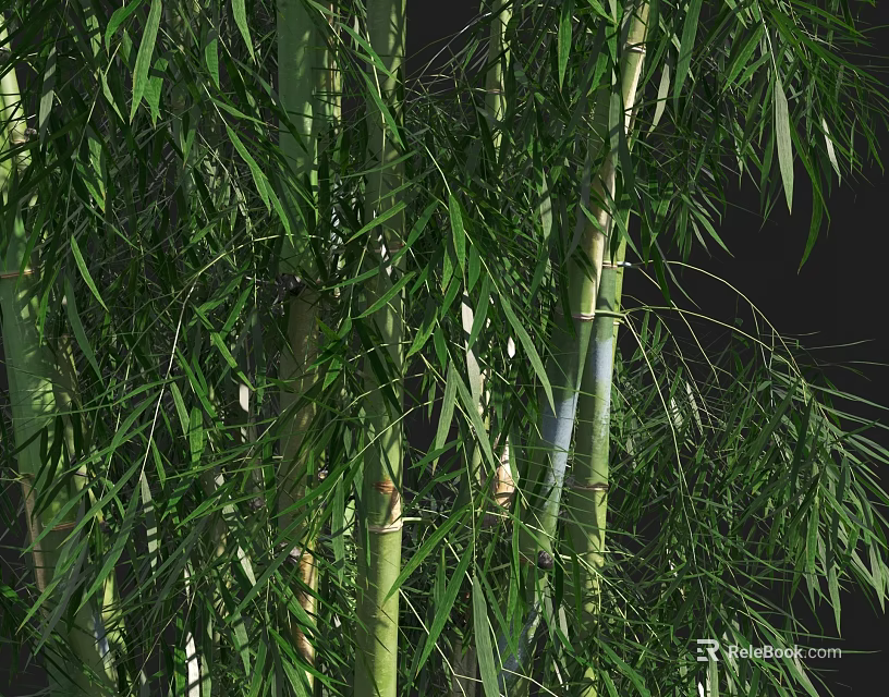 Tall Green Bamboo Stems With Lush Leaves In Natural Growth Environment 3d model 