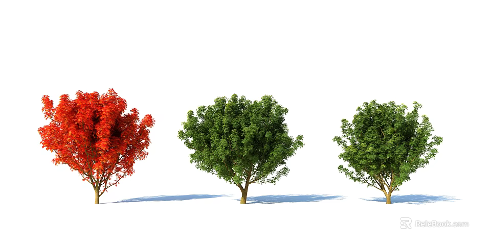Three Vibrant Red and Lush Green Shrubs With Natural Shadows 3d model 