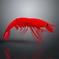 Realistic Red Shrimp 3D Rendered On Gray Background With Reflection 3d model