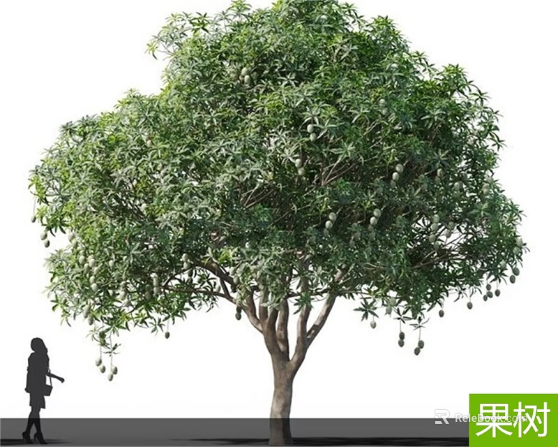 Arbor Fruit Tree With Lush Green Leaves And Hanging Fruits In Garden 3d model 