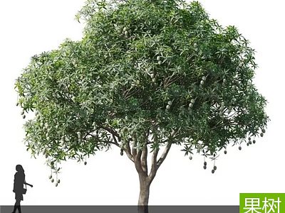 Arbor Fruit Tree With Lush Green Leaves And Hanging Fruits In Garden 3d model