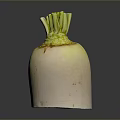 Healthy Fresh White Root Vegetable With Green Stems On Dark Surface